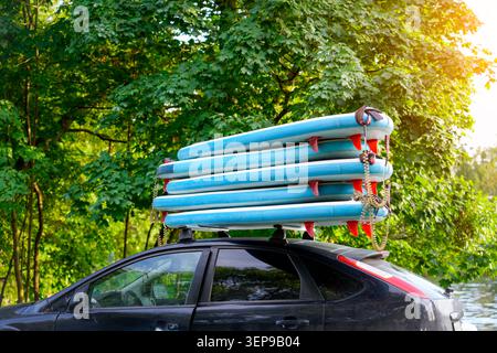Mehrere Stand-Up-Paddleboards stehen auf einem schwarzen Auto, bereit für eine lustige Erholung am See. Die Bretter sind blau und weiß mit roten Lamellen, Stockfoto