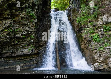 Frontalansicht eines Bergwasserfalls, der zwischen geschichteten Klippen in ein klares Becken fällt. Ein vertikaler Baumstamm neigt sich in den Fluss und grüne Pflanzen haften an dem Stockfoto