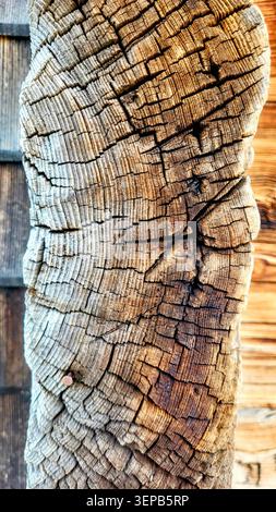 Einzigartige Nahaufnahme der verwitterten Holzstruktur mit Braun- und Grautönen in der Schweizer Natur Stockfoto