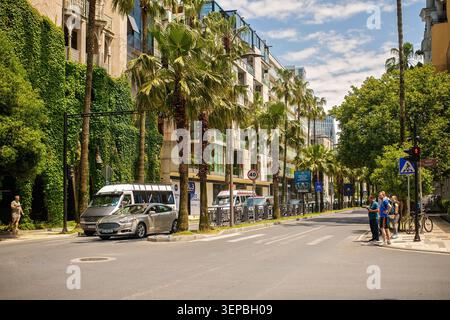 Batumi, Georgia - 09. Juni 2026: Sonniges Stadtbild mit Menschen, die an einer Fußgängerüberfahrt warten, Gebäuden mit grünen Efeufassaden und üppigen Palmen Stockfoto