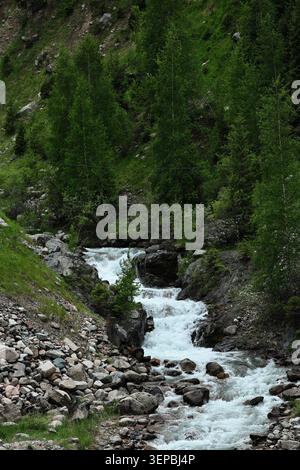 Eine vertikale Nahaufnahme eines mächtigen, rauschenden Gebirgsflusses, der über große Felsbrocken und Felsen am Fuße eines steilen grünen, bewaldeten Hanges kaskadiert. Pe Stockfoto