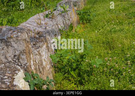 Alte Steinkanten, die mit natürlichen Patina bedeckt sind, ziehen sich durch dichte grüne Vegetation und schaffen eine rustikale Outdoor-Szene mit Texturen, Sonnenlicht und Natur Stockfoto