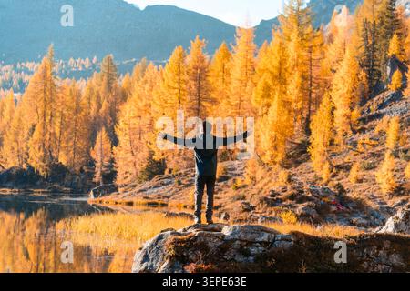 Männlicher Wanderer, der mit offenen Armen auf dem Felsen steht und die malerische Aussicht auf den Lago di Federa genießt, umgeben von goldenen Herbstlärchen in den Dolomiten Stockfoto