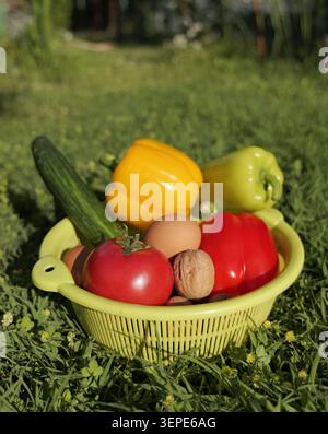 Verschiedene Gemüse und Zutaten, einschließlich Tomaten, Paprika, Gurke, Eier, und Walnüsse, die eine hellgrüne Plastikschale füllen, symbolisieren ihn Stockfoto