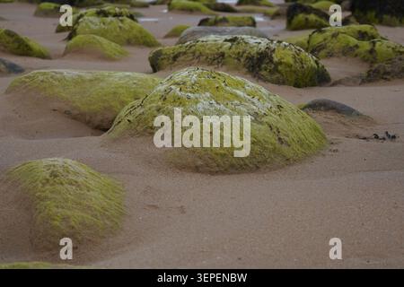 Moosbedeckte Felsen und Felsbrocken verstreut an einem Sandstrand bei Niedrigwasser Stockfoto