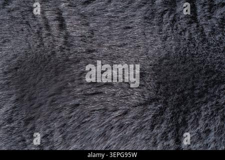 Silbergraue Kunstfelltextur mit glänzendem Hintergrund aus weichen Fasern Stockfoto