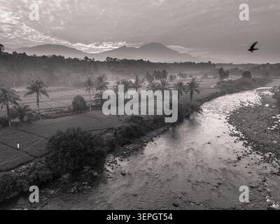 Reiserouten bei Sonnenaufgang in Indonesien. Wunderschöner Panoramablick auf Reisterrassen, umgeben von üppigem tropischem Grün und Palmen Stockfoto