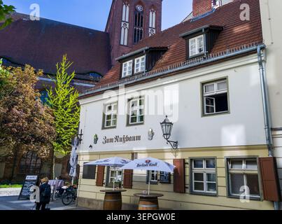Besucher gehen am historischen Restaurant zum Nussbaum im Berliner Nikolaiviertel vorbei, wo sich hinter der Tradition die rote Nikolaikirche erhebt Stockfoto