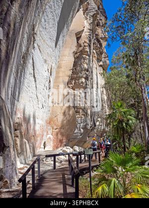 Die Kunstgalerie in der Carnarvon-Schlucht, Carnarvon-Nationalpark Stockfoto
