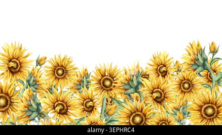 Sonnenblumen horizontales Banner Querformat Aquarellrand. Rahmen für gelbe Blumen und grüne Blätter, Vorlage mit Kopierraum. Handgemalte Botanik Stockfoto