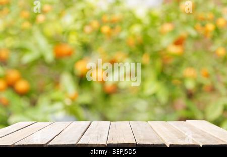 Leerer alter Holztisch und frisch reife Mandarinen auf einem Baum im Obstgarten Stockfoto