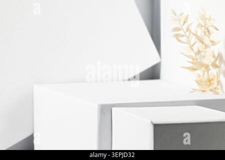Minimalistische geometrische Komposition mit abstrakten weißen Formen und beigefarbenem Laub Stockfoto