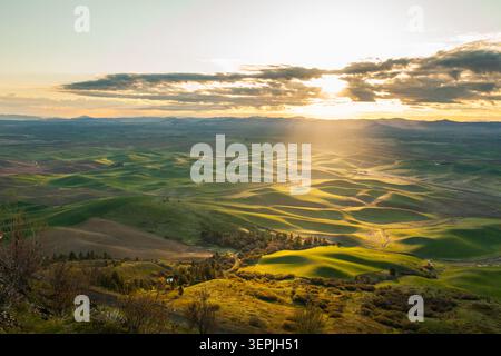 Goldenes Sonnenlicht strahlt über sanfte grüne Hügel Stockfoto