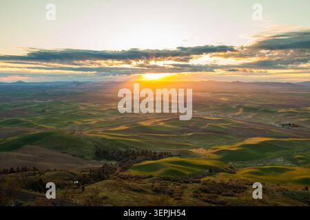 Goldene Sonnenstrahlen über sanften grünen Palouse-Hügeln Stockfoto