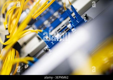Glasfaser-Patchpanel mit angeschlossenen optischen Kabeln in einem Server-Rack-Rechenzentrum Stockfoto