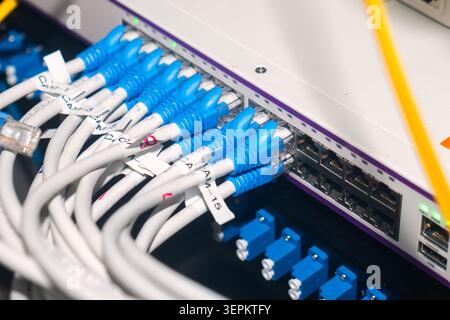 Nahaufnahme der miteinander verbundenen blauen und weißen Netzwerkkabel, die in ein Server-Rack gesteckt wurden, veranschaulicht Computernetzwerke, Datenübertragung und moderne Technik Stockfoto