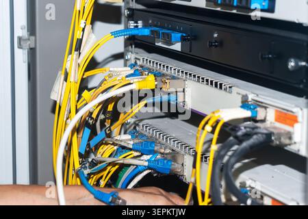 Nahaufnahme des Netzwerkservers mit mehreren gelben, blauen und schwarzen Kabeln, die an verschiedene Ports angeschlossen sind, und Darstellung von Datenübertragung, Verkabelung und Netzwerk Stockfoto