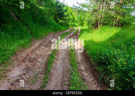 Tiefe, schlammige ländliche Strecke mit schweren Spurrillen, die sich durch üppigen Sommerwald schlängeln, nasse Bodenstruktur mit Pfützen nach Regen, Wildnispfad in lebhaftem G Stockfoto