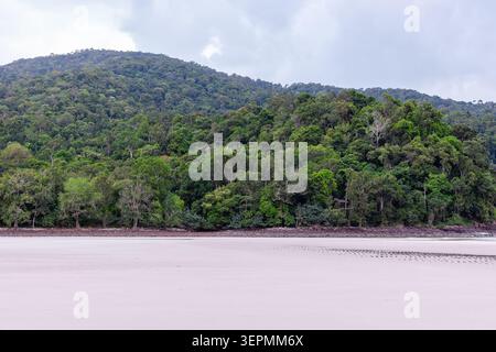 AO Son Beach auf Koh Tarutao mit üppigem Grün. Sandstrand trifft auf dichten Wald unter bewölktem Himmel. Stockfoto