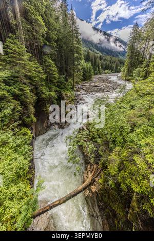 Die Untersulzbach stürzt über Felsen durch eine bewaldete Schlucht entlang des Wasserfall Rundwegs im Untersulzbachtal; ein umgestürzter Baumstamm liegt über das Flussbett. Sulzau, Rosental, Neukirchen am Großvenediger, Bezirk Zell am See, Salzburg, 5741, Österreich Stockfoto