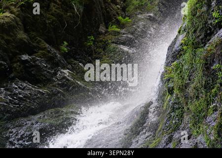 Der Cascata Mundu Wasserfall stürzt auf felsige Klippen, umgeben von üppiger grüner Vegetation im Aspromonte Nationalpark in der Nähe von Molochio in Kalabrien. Stockfoto