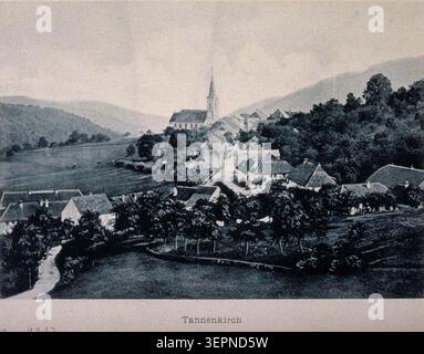 Das Pressefoto von Tannenkirch zeigt einen allgemeinen Blick auf die Siedlung und die umliegende Landschaft und dokumentiert die Dorfordnung und die ländliche Umgebung im Elsass zu Beginn des 20. Jahrhunderts. Stockfoto
