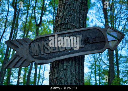 Holzschild mit eingraviertem Namen Myslibórz, montiert an einem Baum auf einem grünen Waldpfad – Naturschutzgebiet Wąwóz Myśliborski. Stockfoto