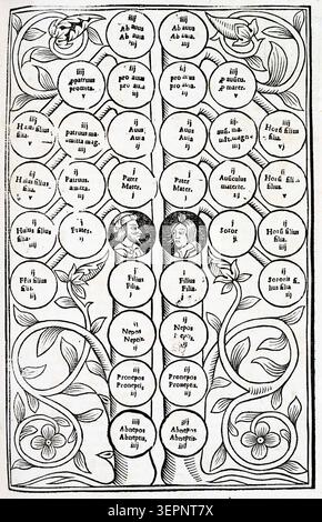 Fernand Bérenger erstellt ein lateinisches Arbor-Diagramm, das agnatische und kognatische Abstammungsbeziehungen innerhalb eines frühmodernen wissenschaftlichen Systems veranschaulicht, das 1552 veröffentlicht wurde und die Genealogie und Klassifizierungsmethoden der Renaissance in gedruckter akademischer Illustration widerspiegelt Stockfoto