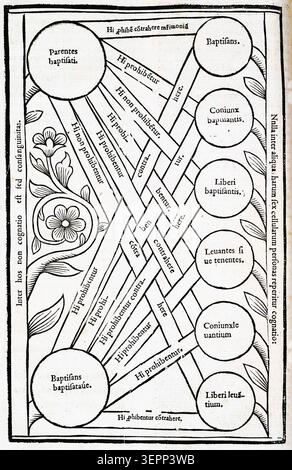 Ein Gravur aus dem Jahr 1552 zeigt Arbor cognationis spiritualis, die eine spirituelle Verwandtschaftsstruktur darstellt, die aus dem Taufsakrament abgeleitet ist und als genealogisches Diagramm angeordnet ist, das das theologische Klassifikationssystem widerspiegelt, das in der frühen gedruckten Religionswissenschaft verwendet wird. Stockfoto