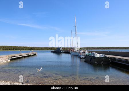 Kleine Fischerboote, die im Hafen von Lauters vor Anker liegen und das traditionelle maritime Leben an der schwedischen Küste zeigen. Stockfoto
