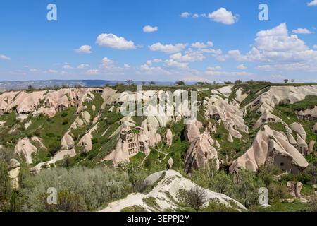 Dieses Bild fängt die atemberaubenden Felsformationen und das üppige Grün von Kappadokien, Türkei, ein und zeigt die natürliche Schönheit der Region. Stockfoto