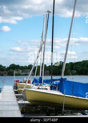 Mehrere kleine gelbe und weiße Segelboote mit blauer Decke parkten an einem hölzernen Dock auf einem ruhigen See mit grünen Bäumen am Ufer unter blauem bewölktem Himmel Stockfoto