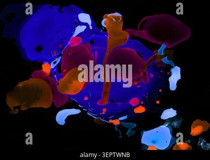Fluoreszierende dunkle Hintergrundstruktur. Flüssige Neonfarbe, Marmoriereffekt oder flüssige Kunst. Blau, rot, braun. Psychedelische Farben für modernes Design, Poster, Musikcover, Tapeten oder Webelemente. Stockfoto