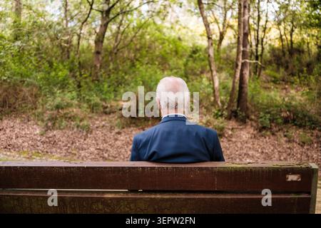 Ein älterer Mann im blauen Anzug sitzt allein auf einer Parkbank und blickt in den Wald Stockfoto