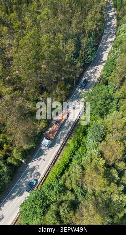 Drohnenansicht mit einem Lkw und Autos, die auf einer kurvigen Straße durch natürlichen grünen Wald fahren Stockfoto