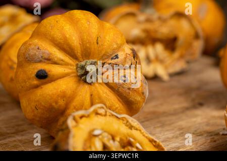 Verfaulte Kürbisfrucht, verdorbene verfaulte Kürbisfrucht mit dunklen Flecken auf der Haut und einem trockenen Kern unter weichem Licht mit authentischen Zeichen der Zersetzung. Stockfoto