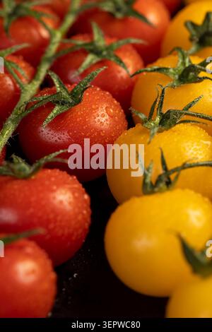 Feuchte runde frische und süße Tomaten von roter und gelber Farbe, gelbe Tomaten mit Punkten auf der Schale, eine große Anzahl frisch geernteter Tomaten bedeckt Stockfoto