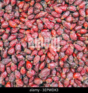 Die Nahansicht zeigt eine dichte Sammlung getrockneter Hüftrosen. Diese Szene ist perfekt für alle, die sich für Kräutertee, natürliche Heilmittel oder Bio-Lebensmittel interessieren Stockfoto