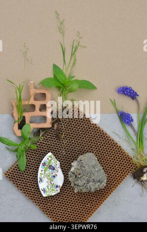 Eine abstrakte Komposition aus verschiedenen Blumen und Pflanzen, die aus Müll, Ziegeln wachsen. Umwelterziehung und Naturkraft. Stockfoto