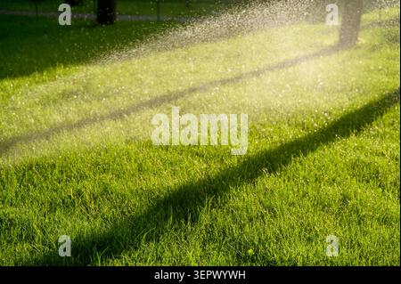 Automatischer Sprinklerschutz auf einem grünen Rasen in einem Stadtpark Wasserstrahlen. Konzept der intelligenten Bewässerung, des städtischen Gartenbaus und der modernen Infrastruktur. Stockfoto