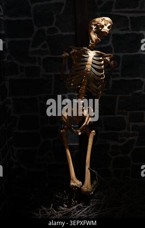 Ein menschliches Skelett wird auf dem Scheiterhaufen gegen eine dunkle Ziegelmauer verbrannt Stockfoto