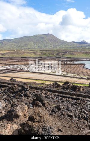 Die Salinas de Janubio an der Südwestküste der Kanarischen Insel Lanzarote, Spanien Stockfoto