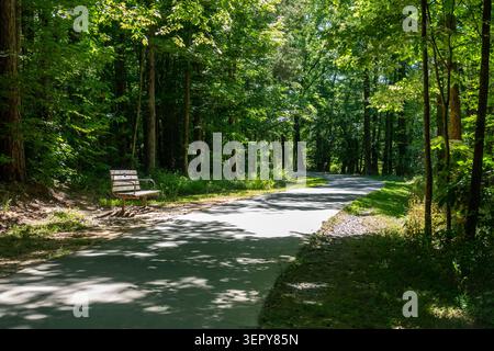 Ein gepflasterter Wanderweg schlängelt sich durch dichten Wald mit einer Parkbank im verfleckten Sonnenlicht. Stockfoto