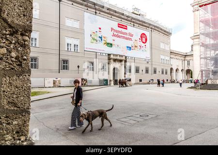 Ein Passant mit Hund auf dem Domplatz in Salzburg; im Hintergrund ein Gebäude mit großem Werbebanner für die SalzburgMilch AG; rechts ein mit Gerüsten überdachtes Kirchengebäude. Der Domplatz ist der zentrale öffentliche Platz in der Salzburger Altstadt und dient während des Festivals als Freilichtbühne für die Inszenierung von *Jedermann*. Salzburg, Österreich Stockfoto