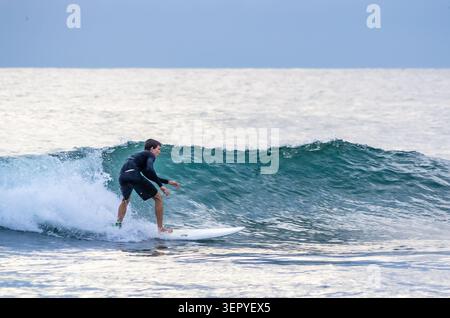 Mirissa, Sri Lanka - 20. Februar 2023: Ein Surfer in einem schwarzen Neoprenanzug reitet auf einem weißen Surfbrett am Mirissa Beach auf einer türkisfarbenen Meereswelle Stockfoto