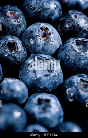 Makroaufnahmen von frischen, feuchten Heidelbeeren, die in Süßwassertropfen bedeckt sind. Stockfoto