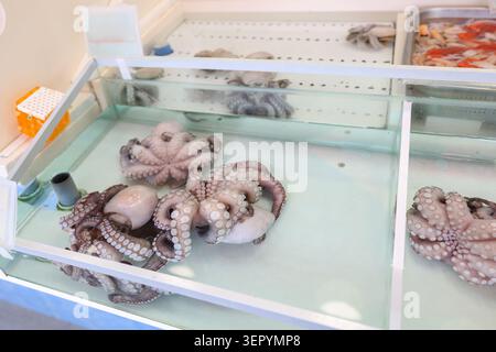 Frischer Tintenfisch in einem Fischmarkt, in dem erstklassige mediterrane Meeresfrüchte zum Verkauf auf einem Fischmarkt und Restaurantzubehör angeboten werden Stockfoto