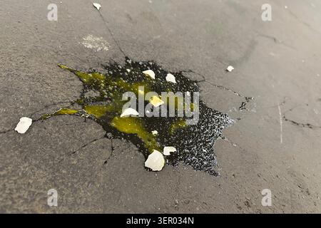 08.04.2025, Deutschland, Berlin, Berlin - Ein gebrochenes Hühnerei auf Asphaltboden. 00S250408D352CAROEX.JPG [MODELLVERSION: NICHT ZUTREFFEND, EIGENSCHAFT REL Stockfoto