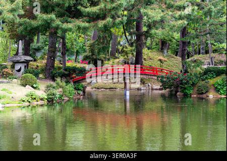 Traditionelle rote Holzbogenbrücke über einen ruhigen Teich in einem orientalischen Garten Stockfoto
