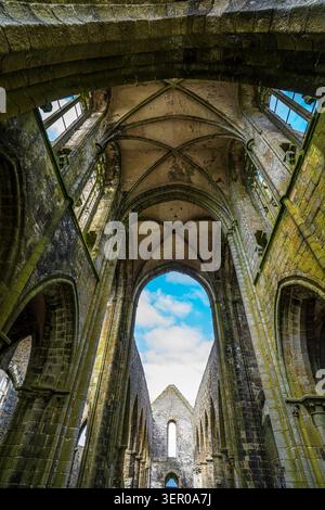 Spektakuläre Aufnahmen der hohen Rippengewölbe und moosbedeckten gotischen Bögen in der Abtei Saint-Mathieu. Die monumentale Steinstruktur öffnet sich in der Vergangenheit Stockfoto